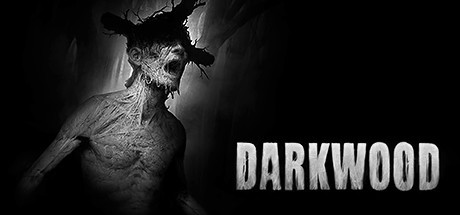 阴暗森林 Darkwood  v1.3 特别好评的恐怖游戏 中文版